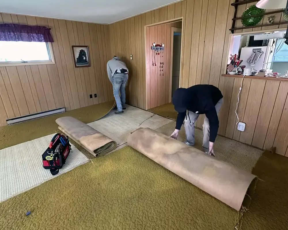 Junk Removal